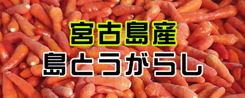 島とうがらし