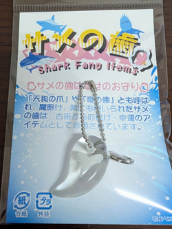 サメの歯BC